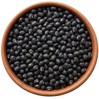 Evergro Aura Global LLP Home Page Black Matpe