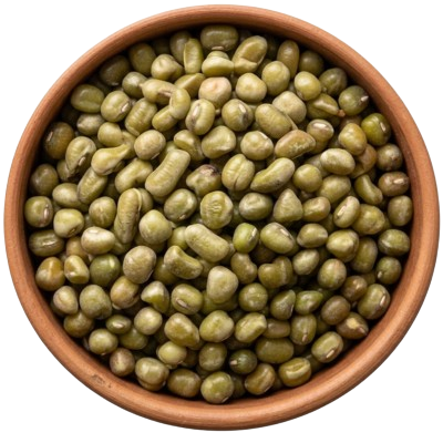 Evergro Aura Global LLP Home Page Green Lentils